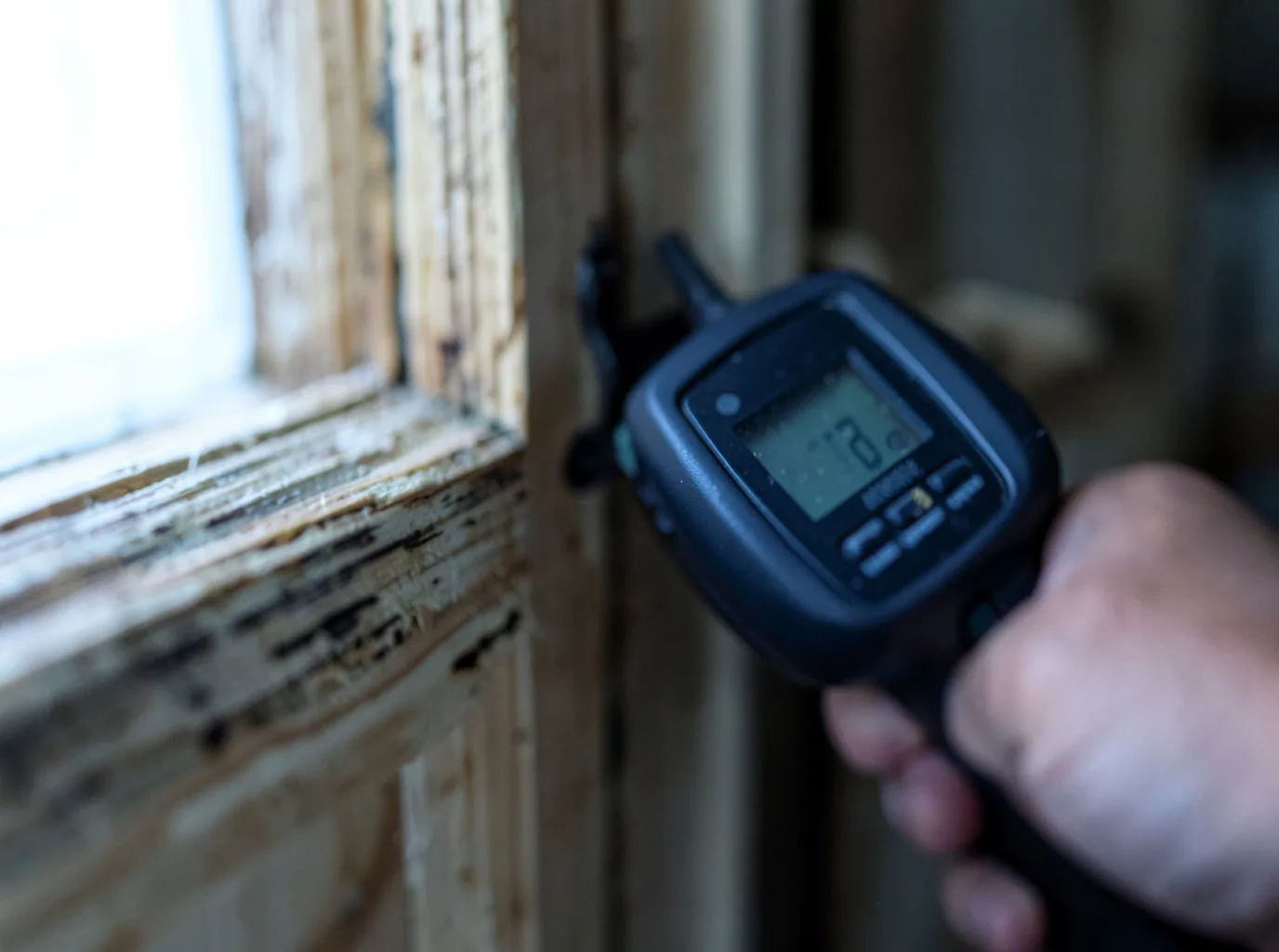Moisture Inspection And Documentation in Gray, GA